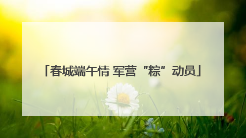 春城端午情 军营“粽”动员
