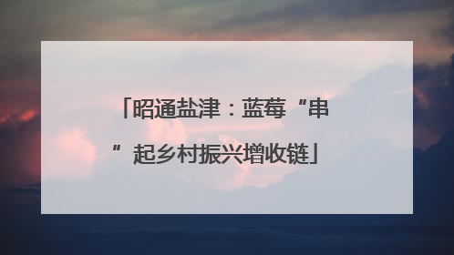 昭通盐津：蓝莓“串”起乡村振兴增收链