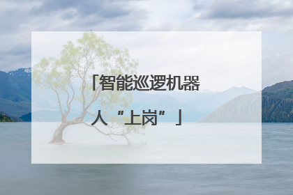 智能巡逻机器人“上岗”