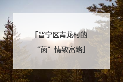 晋宁区青龙村的“菌”情致富路