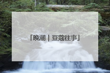 晚潮｜豆蔻往事