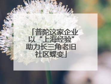 普陀这家企业以“上海经验”助力长三角老旧社区蝶变