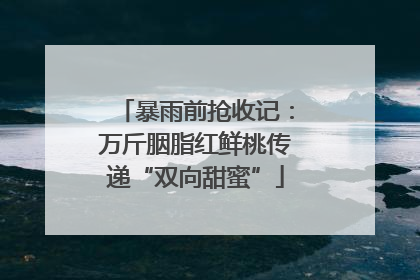 暴雨前抢收记：万斤胭脂红鲜桃传递“双向甜蜜”