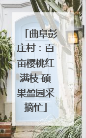曲阜彭庄村：百亩樱桃红满枝 硕果盈园采摘忙