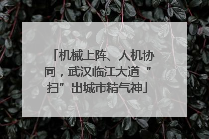 机械上阵、人机协同，武汉临江大道“扫”出城市精气神