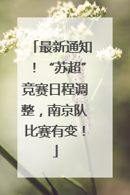 最新通知！“苏超”竞赛日程调整，南京队比赛有变！