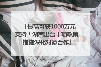 最高可获1000万元支持！湖南出台十项政策措施深化对德合作