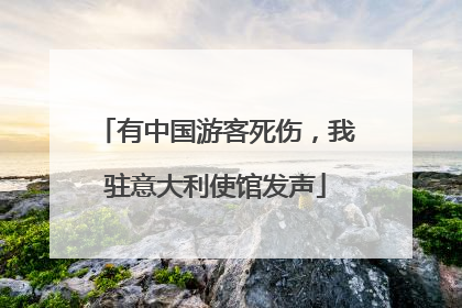 有中国游客死伤，我驻意大利使馆发声