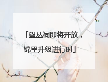 望丛祠即将开放，锦里升级进行时