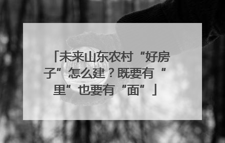 未来山东农村“好房子”怎么建？既要有“里”也要有“面”