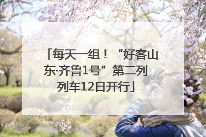 每天一组！“好客山东·齐鲁1号”第二列列车12日开行