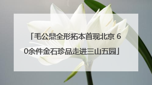 毛公鼎全形拓本首现北京 60余件金石珍品走进三山五园