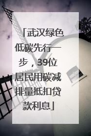 武汉绿色低碳先行一步，39位居民用碳减排量抵扣贷款利息