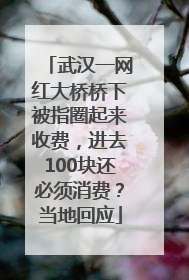 武汉一网红大桥桥下被指圈起来收费，进去100块还必须消费？当地回应