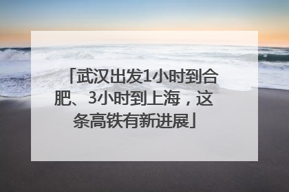 武汉出发1小时到合肥、3小时到上海，这条高铁有新进展
