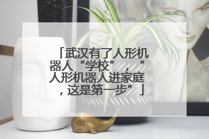 武汉有了人形机器人“学校”，“人形机器人进家庭，这是第一步”
