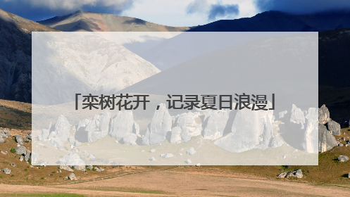 栾树花开，记录夏日浪漫