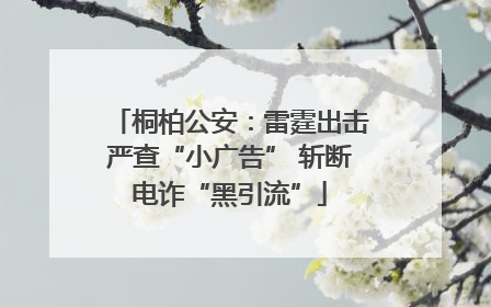 桐柏公安：雷霆出击严查“小广告” 斩断电诈“黑引流”