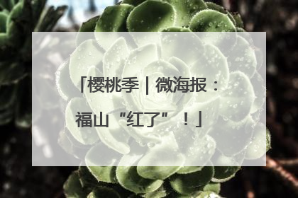 樱桃季｜微海报：福山“红了”！