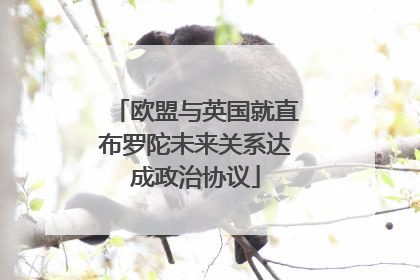 欧盟与英国就直布罗陀未来关系达成政治协议