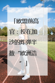 欧盟前高官：投在加沙的炸弹半数“欧洲造”