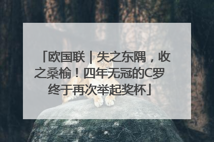 欧国联｜失之东隅，收之桑榆！四年无冠的C罗终于再次举起奖杯