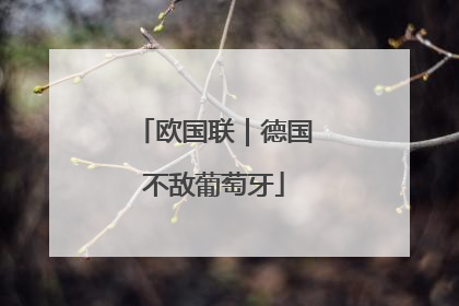 欧国联｜德国不敌葡萄牙