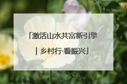 激活山水共富新引擎｜乡村行·看振兴