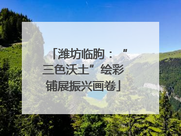 潍坊临朐：“三色沃土”绘彩铺展振兴画卷