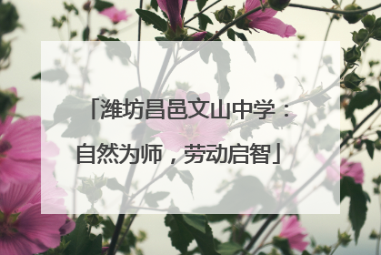 潍坊昌邑文山中学：自然为师，劳动启智