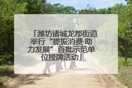 潍坊诸城龙都街道举行“提振消费·助力发展”首批示范单位授牌活动