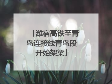 潍宿高铁至青岛连接线青岛段开始架梁