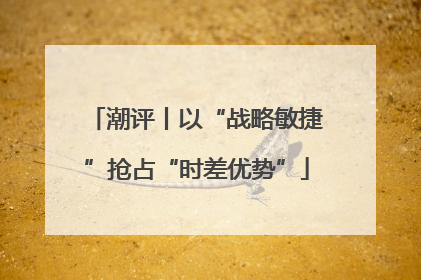 潮评丨以“战略敏捷”抢占“时差优势”