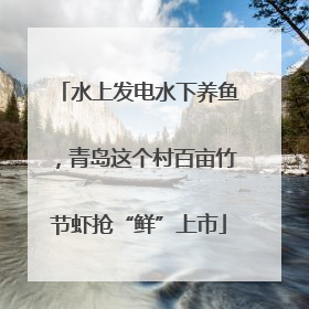水上发电水下养鱼，青岛这个村百亩竹节虾抢“鲜”上市