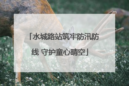 水城路站筑牢防汛防线 守护童心晴空