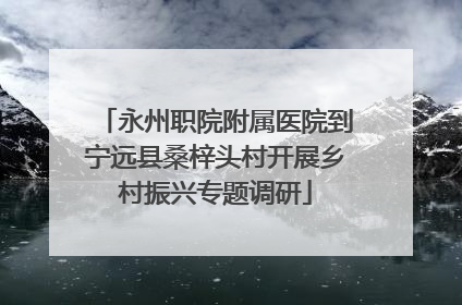 永州职院附属医院到宁远县桑梓头村开展乡村振兴专题调研