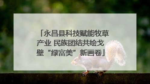 永昌县科技赋能牧草产业 民族团结共绘戈壁“绿富美”新画卷