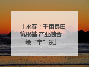 永春：千亩良田筑根基 产业融合绘“丰”景