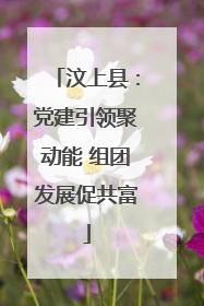 汶上县：党建引领聚动能 组团发展促共富