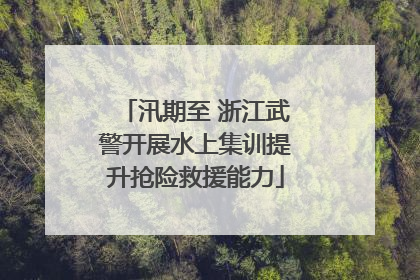 汛期至 浙江武警开展水上集训提升抢险救援能力