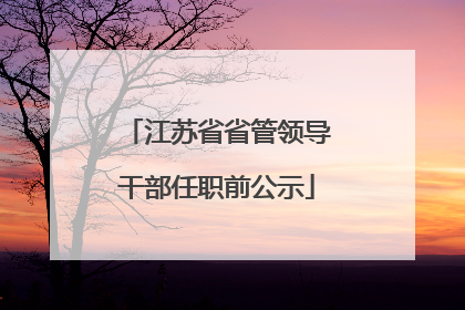 江苏省省管领导干部任职前公示