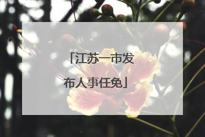 江苏一市发布人事任免