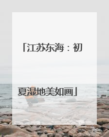 江苏东海：初夏湿地美如画