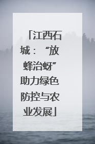 江西石城：“放蜂治蚜”助力绿色防控与农业发展