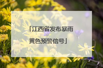 江西省发布暴雨黄色预警信号