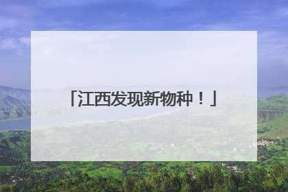 江西发现新物种！