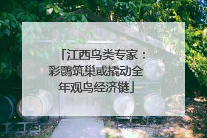 江西鸟类专家：彩鹮筑巢或撬动全年观鸟经济链