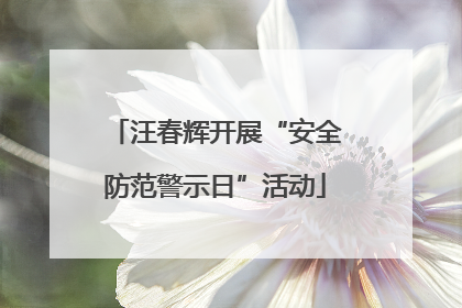汪春辉开展“安全防范警示日”活动