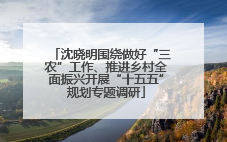 沈晓明围绕做好“三农”工作、推进乡村全面振兴开展“十五五”规划专题调研