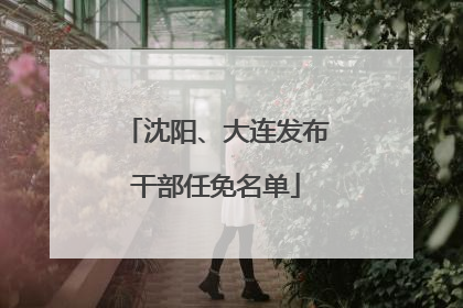 沈阳、大连发布干部任免名单